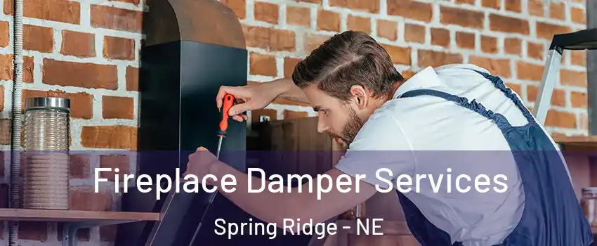Fireplace Damper Services Spring Ridge - NE