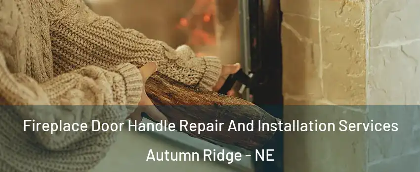 Fireplace Door Handle Repair And Installation Services Autumn Ridge - NE