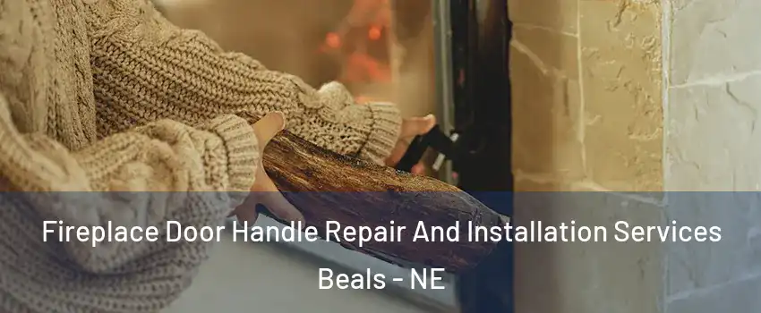 Fireplace Door Handle Repair And Installation Services Beals - NE