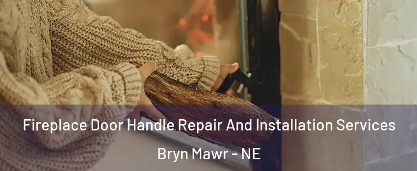 Fireplace Door Handle Repair And Installation Services Bryn Mawr - NE