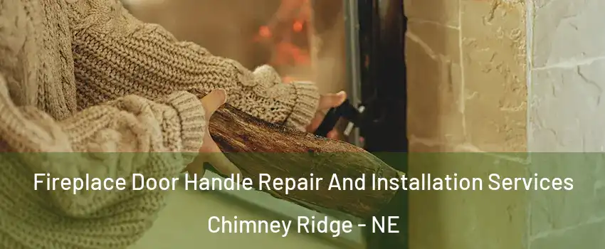 Fireplace Door Handle Repair And Installation Services Chimney Ridge - NE