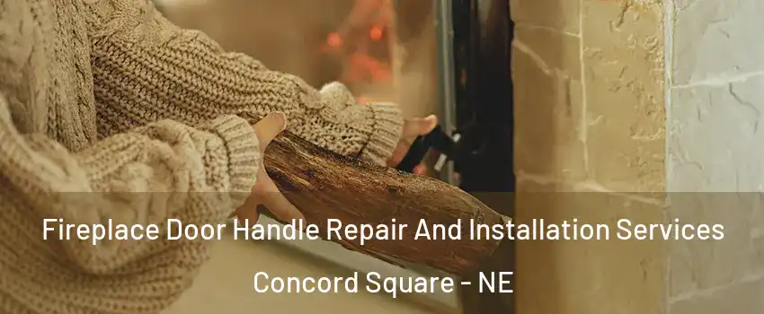 Fireplace Door Handle Repair And Installation Services Concord Square - NE