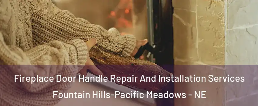 Fireplace Door Handle Repair And Installation Services Fountain Hills-Pacific Meadows - NE