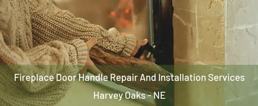Fireplace Door Handle Repair And Installation Services Harvey Oaks - NE