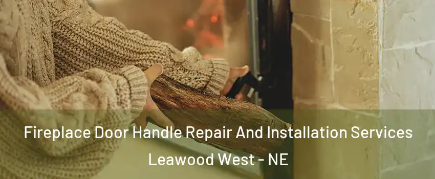 Fireplace Door Handle Repair And Installation Services Leawood West - NE