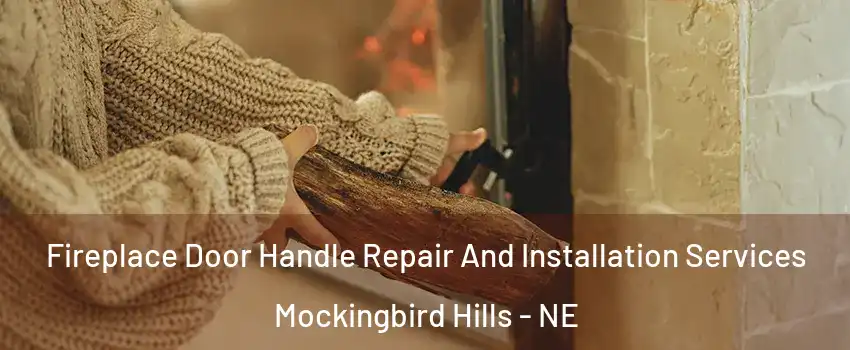 Fireplace Door Handle Repair And Installation Services Mockingbird Hills - NE