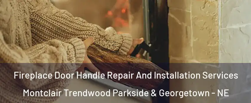 Fireplace Door Handle Repair And Installation Services Montclair Trendwood Parkside & Georgetown - NE