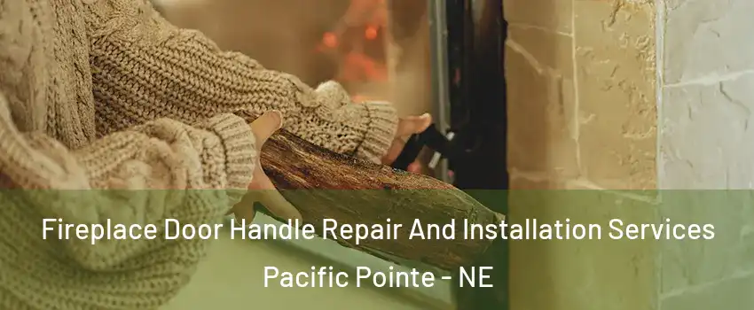 Fireplace Door Handle Repair And Installation Services Pacific Pointe - NE