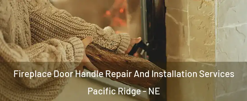 Fireplace Door Handle Repair And Installation Services Pacific Ridge - NE
