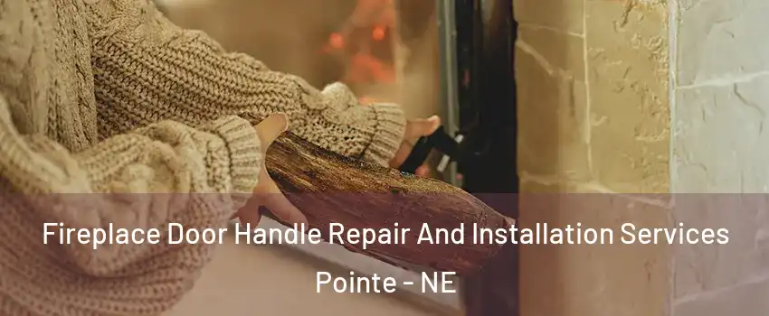 Fireplace Door Handle Repair And Installation Services Pointe - NE