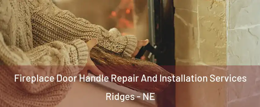 Fireplace Door Handle Repair And Installation Services Ridges - NE