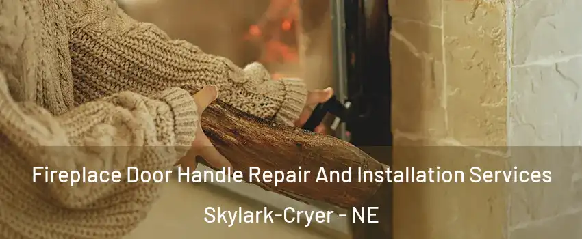 Fireplace Door Handle Repair And Installation Services Skylark-Cryer - NE