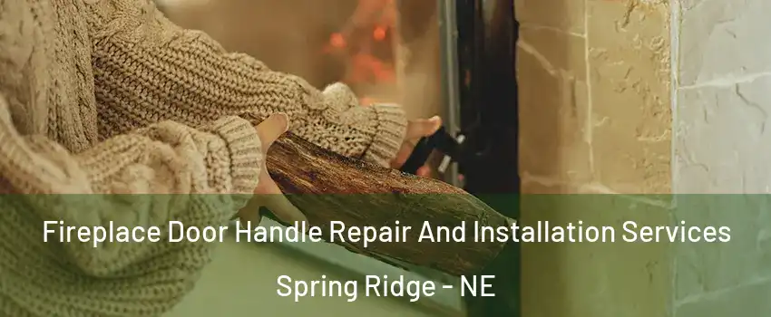 Fireplace Door Handle Repair And Installation Services Spring Ridge - NE