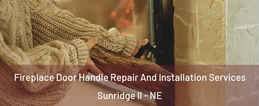 Fireplace Door Handle Repair And Installation Services Sunridge II - NE
