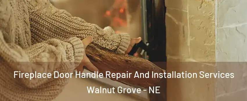 Fireplace Door Handle Repair And Installation Services Walnut Grove - NE