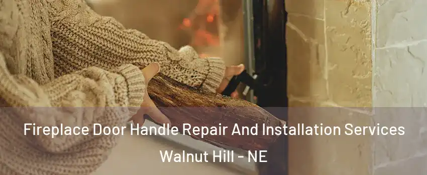 Fireplace Door Handle Repair And Installation Services Walnut Hill - NE