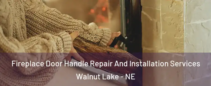 Fireplace Door Handle Repair And Installation Services Walnut Lake - NE