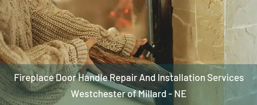 Fireplace Door Handle Repair And Installation Services Westchester of Millard - NE