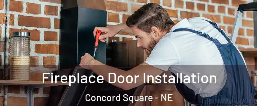 Fireplace Door Installation Concord Square - NE