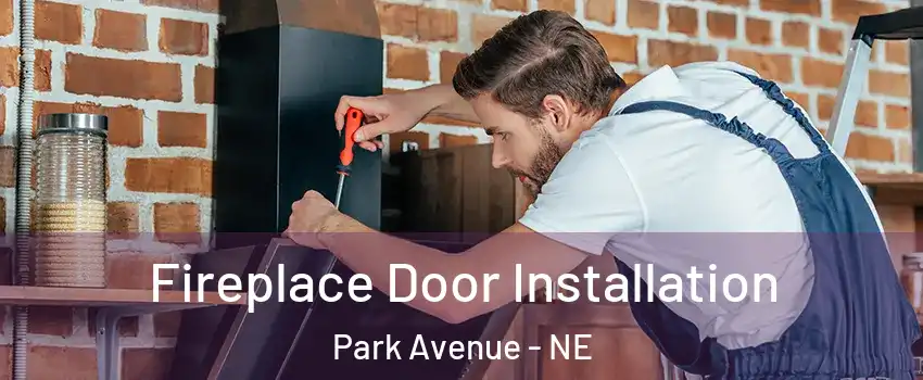 Fireplace Door Installation Park Avenue - NE