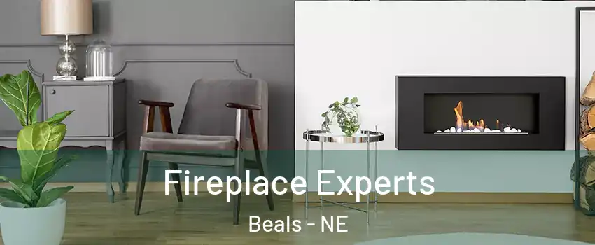 Fireplace Experts Beals - NE