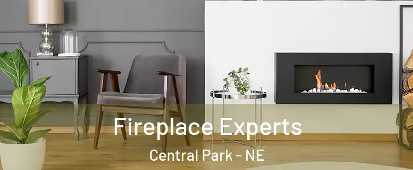 Fireplace Experts Central Park - NE