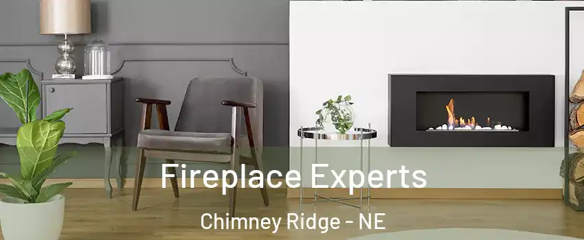 Fireplace Experts Chimney Ridge - NE