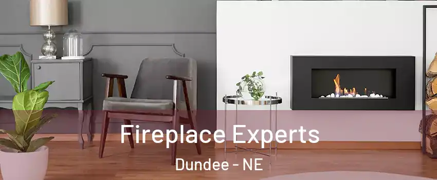 Fireplace Experts Dundee - NE