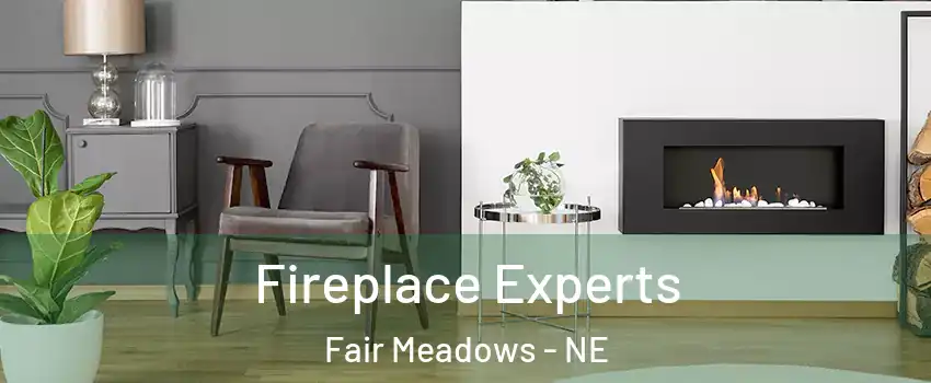 Fireplace Experts Fair Meadows - NE