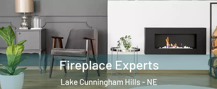 Fireplace Experts Lake Cunningham Hills - NE
