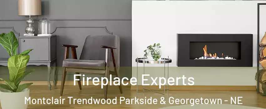 Fireplace Experts Montclair Trendwood Parkside & Georgetown - NE