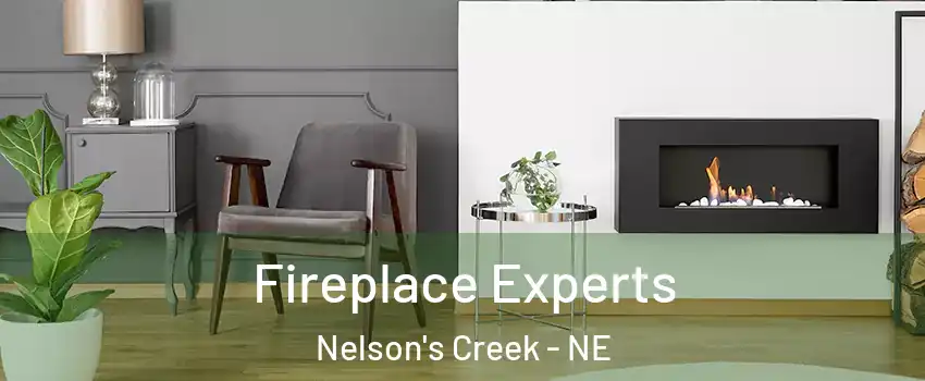 Fireplace Experts Nelson's Creek - NE