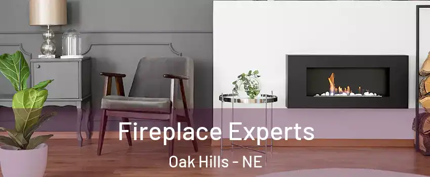 Fireplace Experts Oak Hills - NE