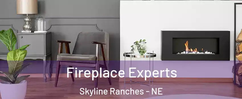 Fireplace Experts Skyline Ranches - NE