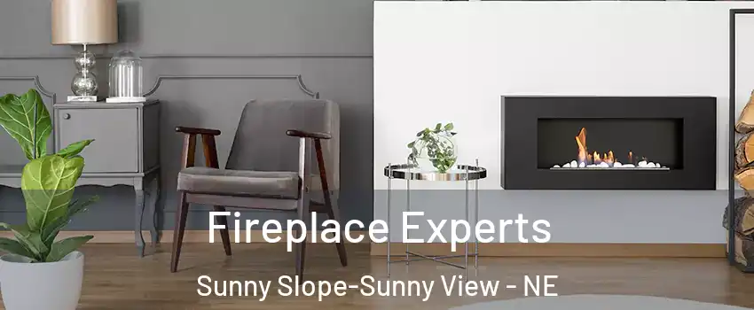 Fireplace Experts Sunny Slope-Sunny View - NE
