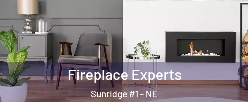 Fireplace Experts Sunridge #1 - NE
