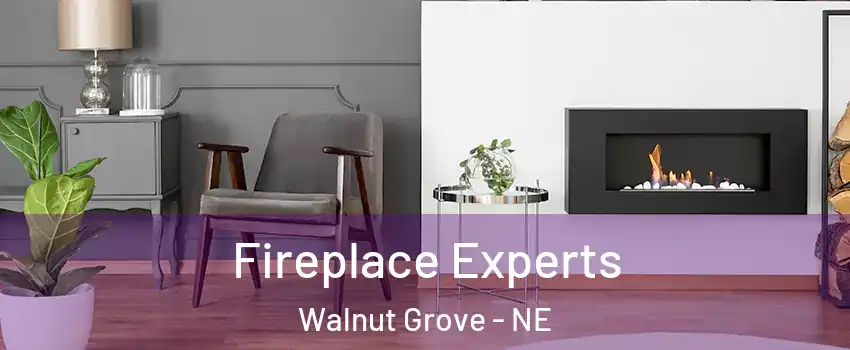 Fireplace Experts Walnut Grove - NE