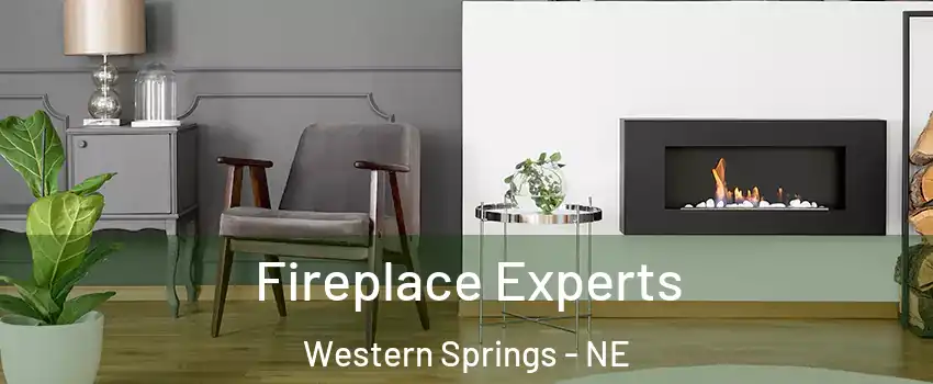 Fireplace Experts Western Springs - NE