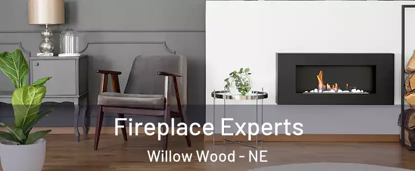 Fireplace Experts Willow Wood - NE