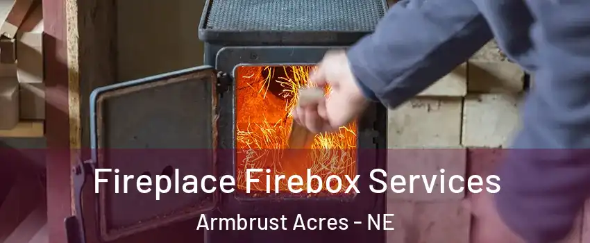 Fireplace Firebox Services Armbrust Acres - NE