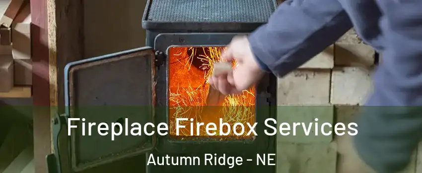 Fireplace Firebox Services Autumn Ridge - NE