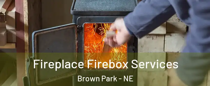Fireplace Firebox Services Brown Park - NE