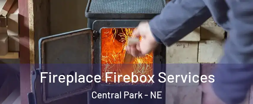 Fireplace Firebox Services Central Park - NE