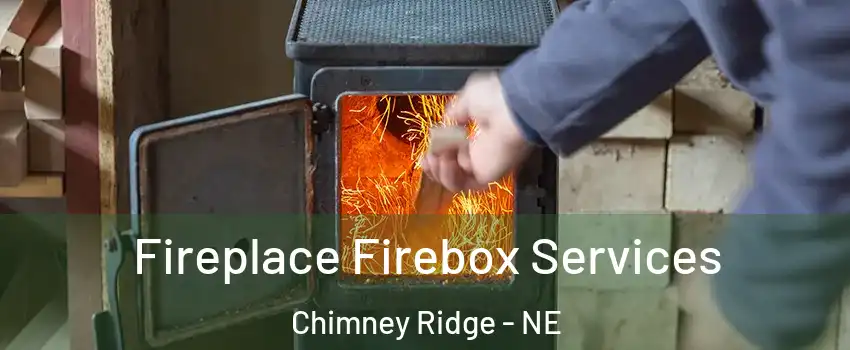 Fireplace Firebox Services Chimney Ridge - NE