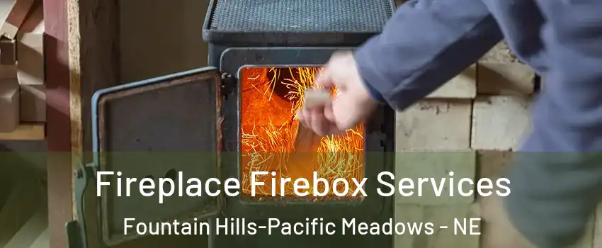 Fireplace Firebox Services Fountain Hills-Pacific Meadows - NE