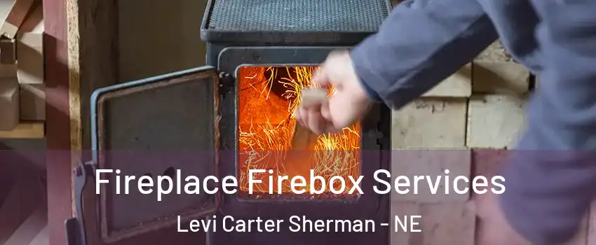 Fireplace Firebox Services Levi Carter Sherman - NE