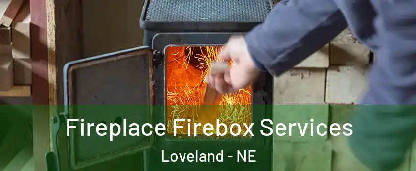 Fireplace Firebox Services Loveland - NE