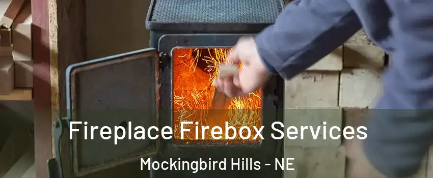 Fireplace Firebox Services Mockingbird Hills - NE