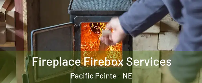 Fireplace Firebox Services Pacific Pointe - NE