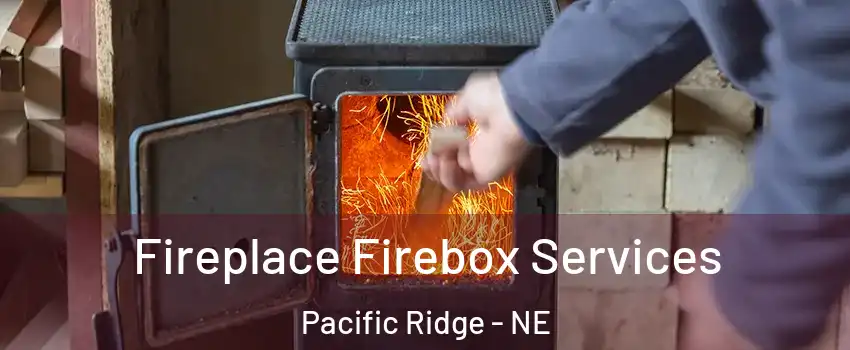 Fireplace Firebox Services Pacific Ridge - NE